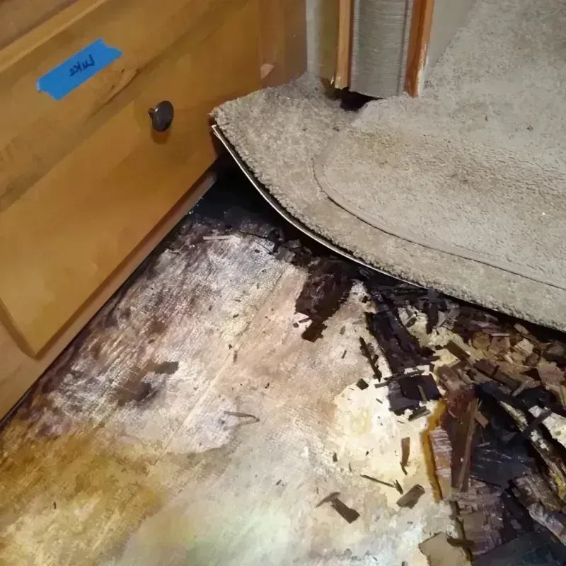 Wood Floor Water Damage in Elwood, NJ